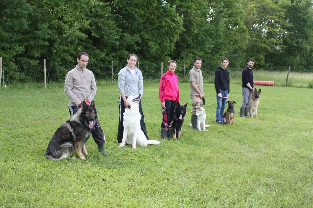 des loups légendaires - Education canine voir galerie photos